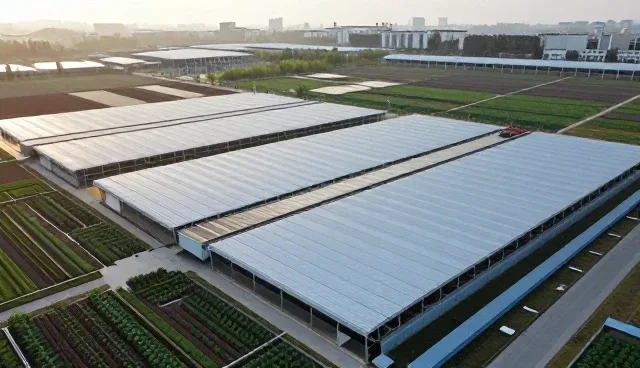 食品分装过程中的保鲜管理难点与解决方案